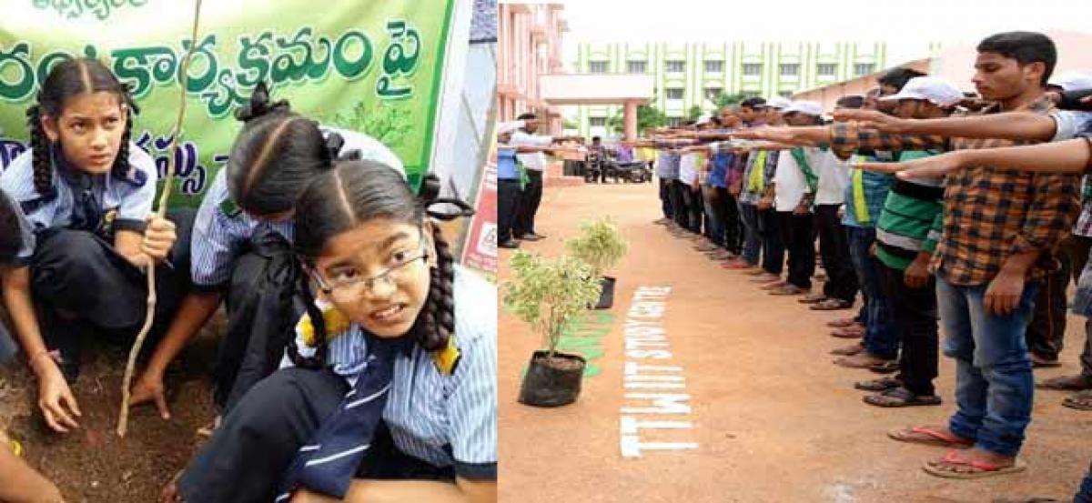 Schools to be involved in Haritha Haram programme