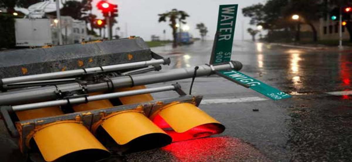 Hurricane Harvey knocks down trees, power poles in Texas