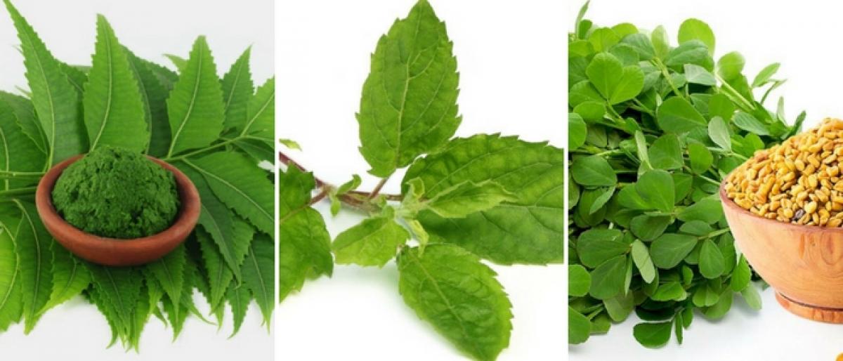 Herbs to enhance beauty