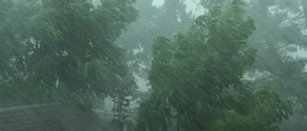 Vikarabad district receives bountiful rain