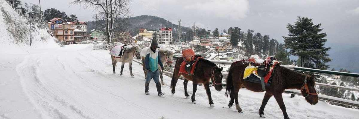 Most parts of HP reel under severe cold conditions; Manali shivers at 5.6 deg C