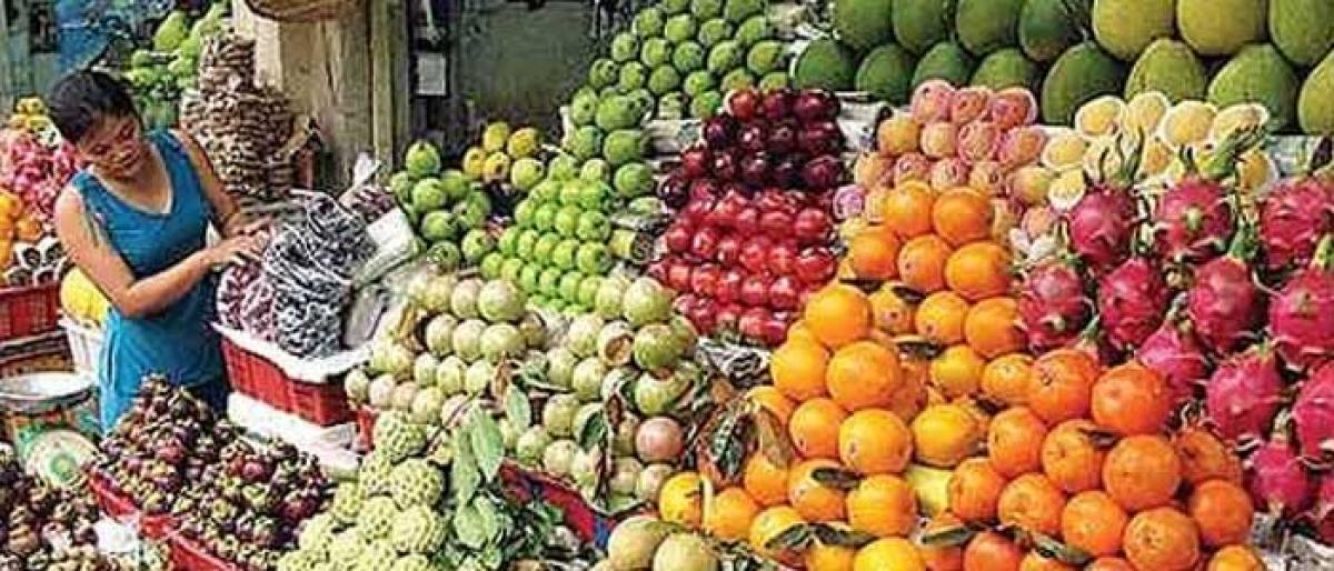 Horticulture farmers hit hard by imports