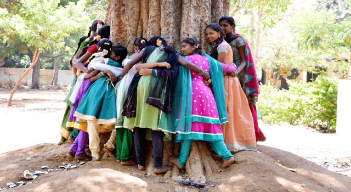 Students hug the tree to promote greenery