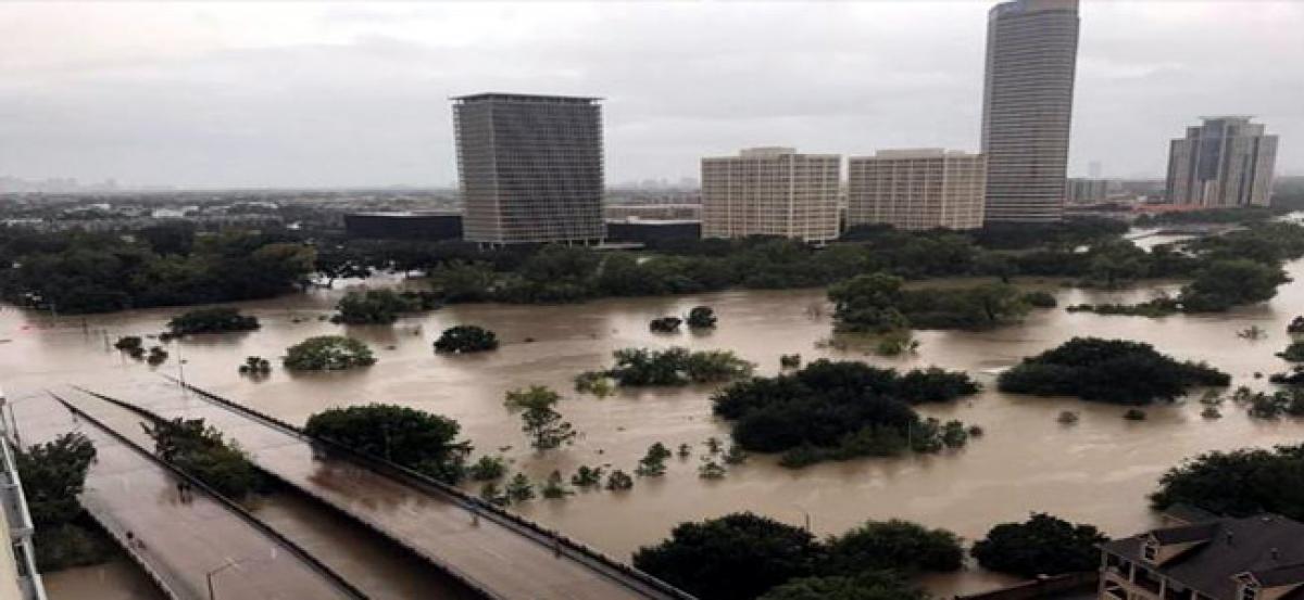 Hurricane Harvey toll increases to 46