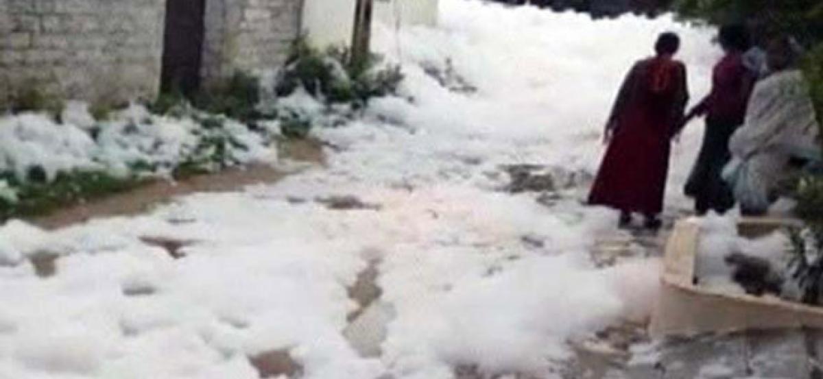 Hyderabad: Drain in Dharani Nagar spills thick toxic foam