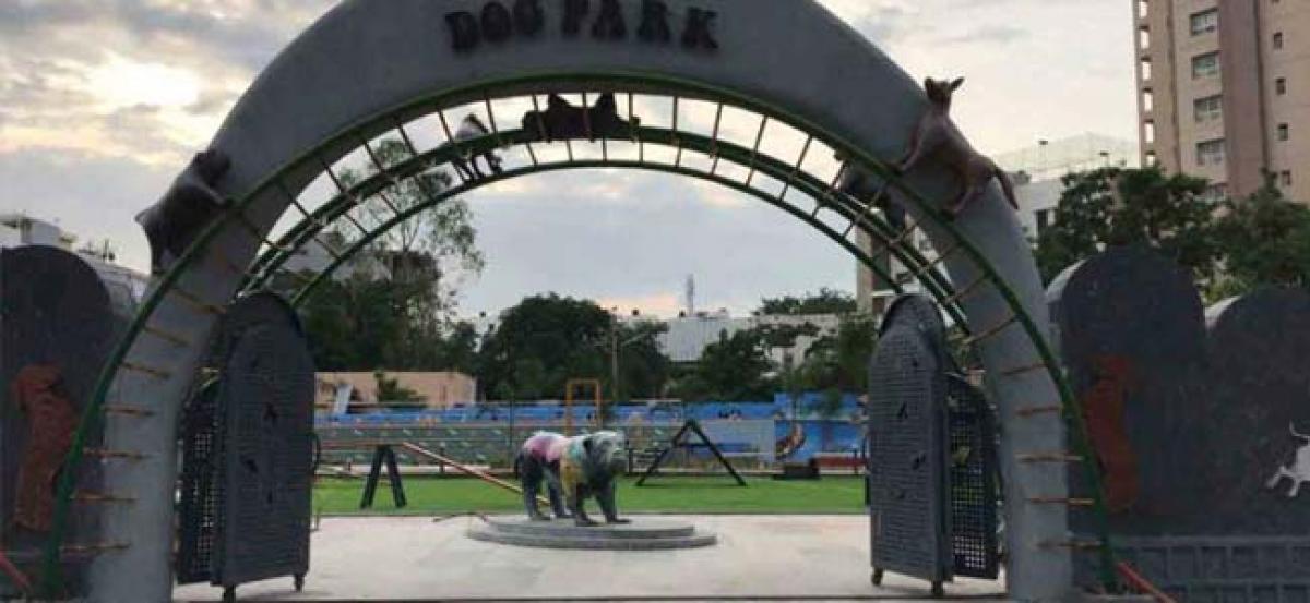 Indias first ever Dog Park to be launched in Hyderabad