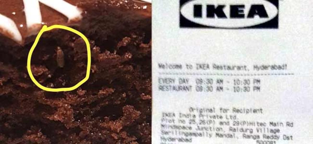 After caterpillar, customer finds insect in chocolate cake at IKEA