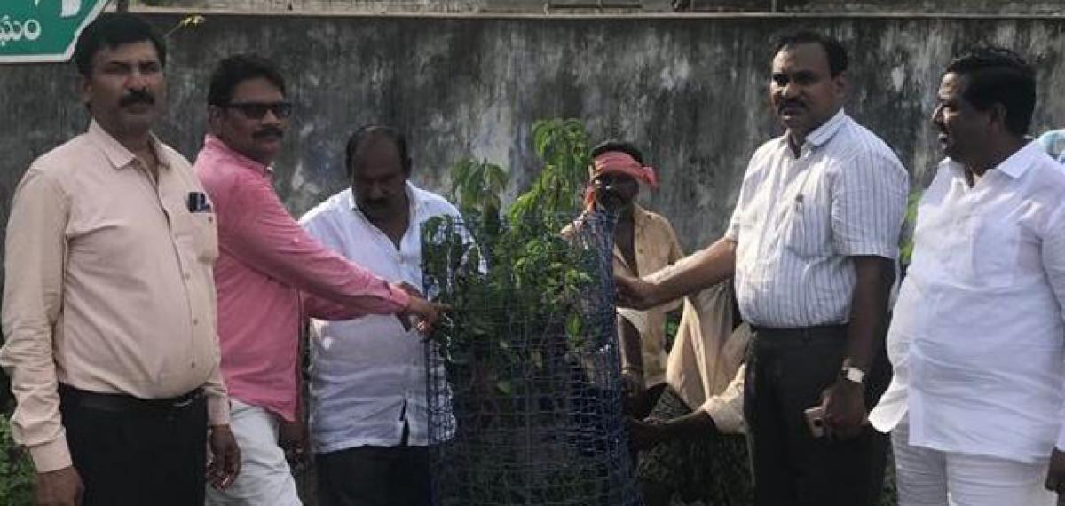 Plant more saplings, Gudivada Municipal Commissioner urges people
