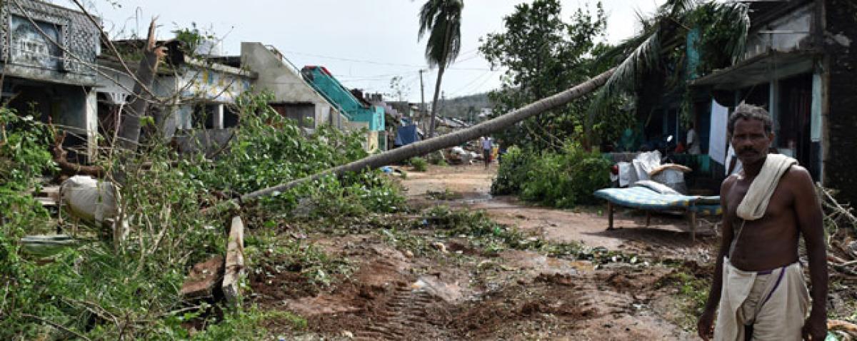 25K electric poles damaged in Srikakulam
