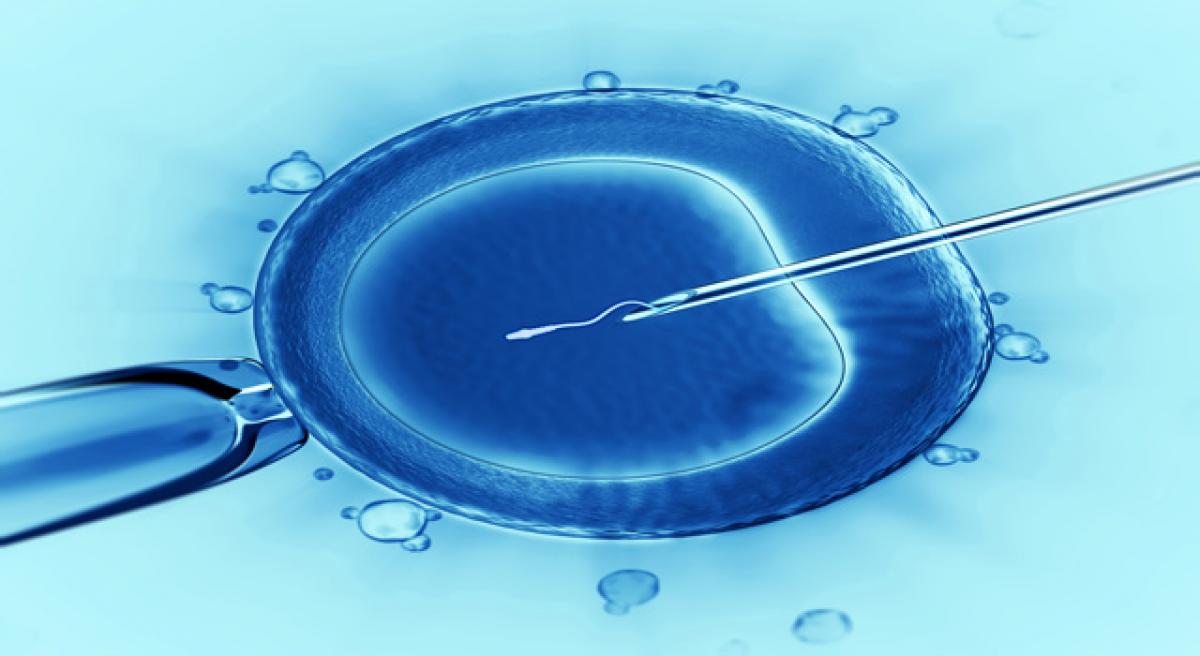 25% surge in IVF cases in recent years, say doctors