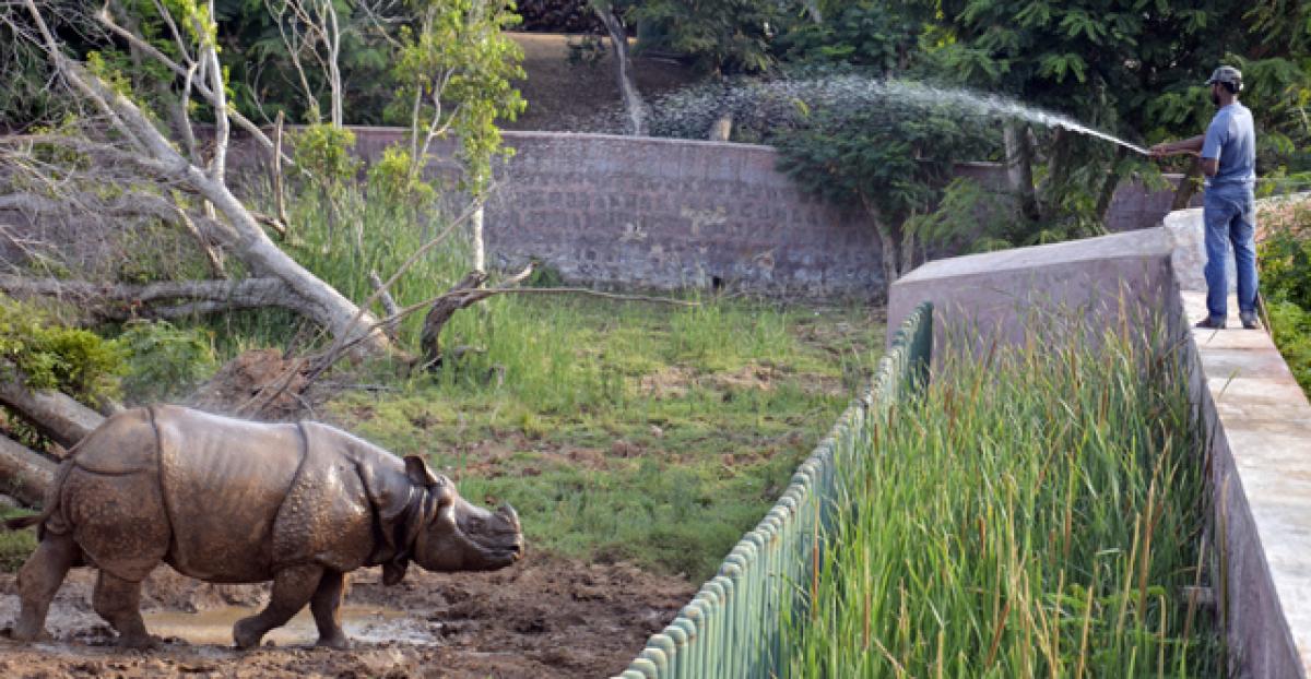 Delay in Detailed Project Report on zoo park irks World Bank