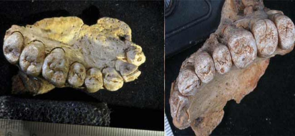 Earliest human fossil outside of Africa unearthed in Israel