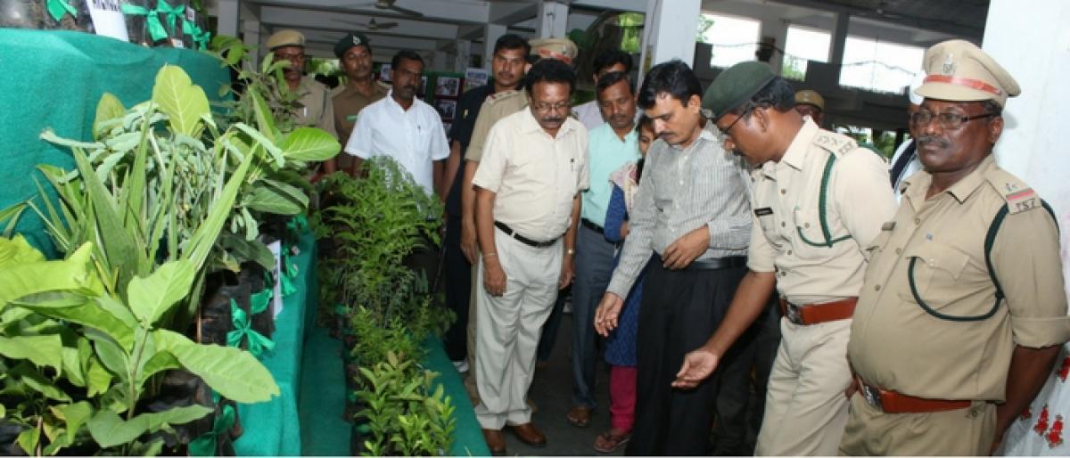 Haritha Dalam to protect planted saplings