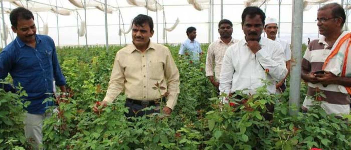 Poly house farming yields better profits: Jagtial Collector