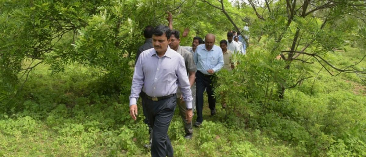 Develop Tummanela forest area as tourist spot