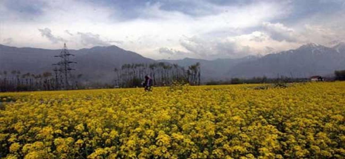 21,530 acre of Jammu and Kashmir land transferred to people fetched Rs 76.91 crore