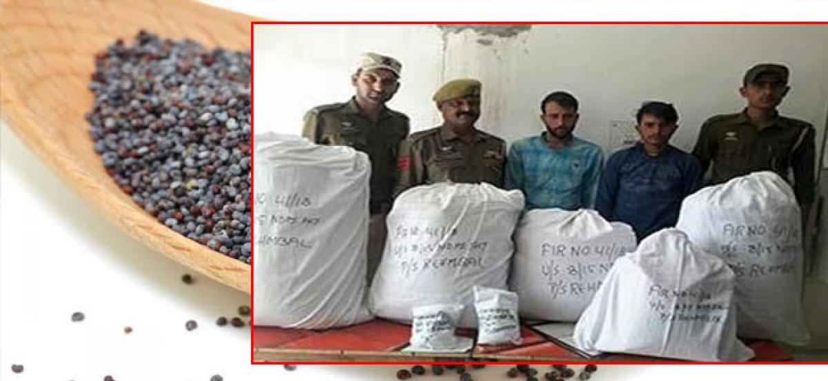 Jammu and Kashmir: 102 kg poppy recovered by police, 2 arrested