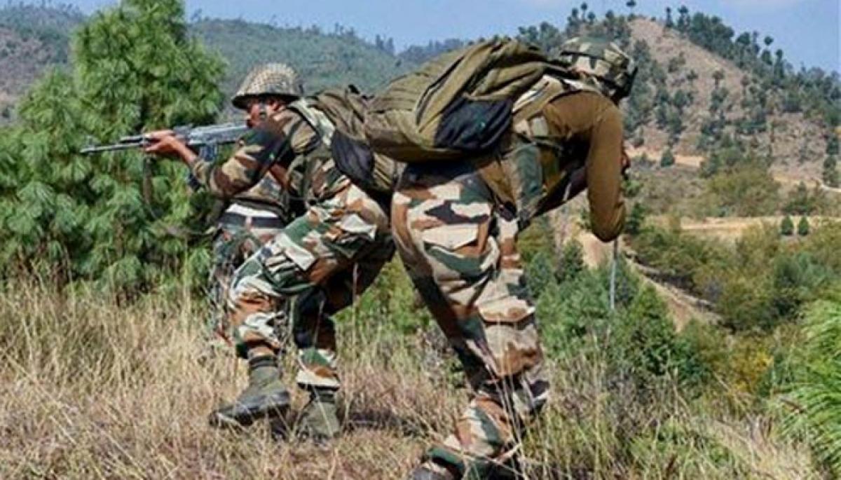 J-K: Terrorist gunned down by security forces in Shopian, search ops underway