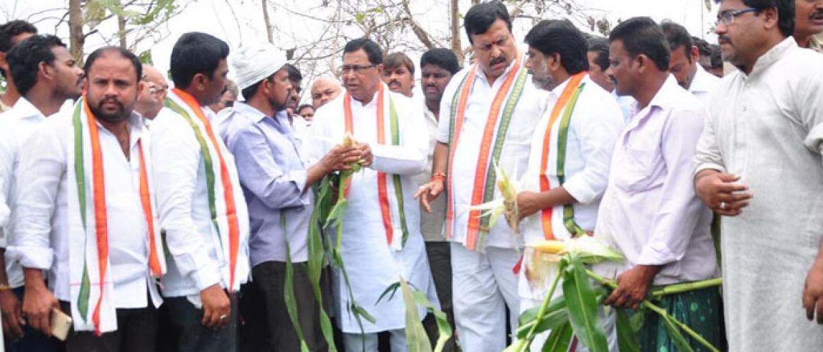 Cong demands compensation to rain-hit farmers