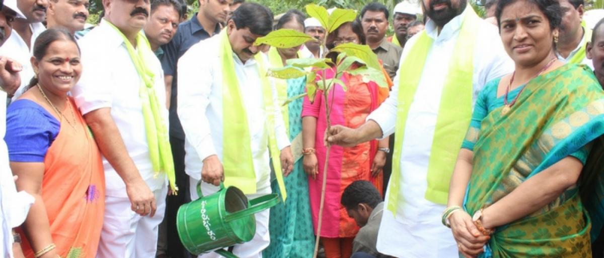 Transport Minister plants saplings in Jangaon