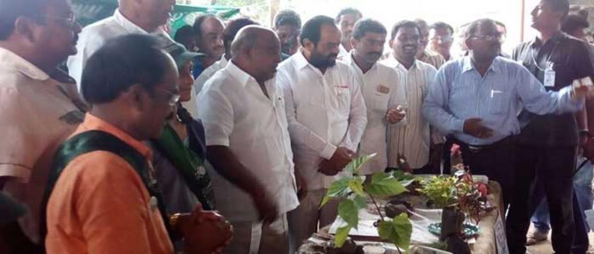 Telangana Forest Minister bats for clay Ganesh