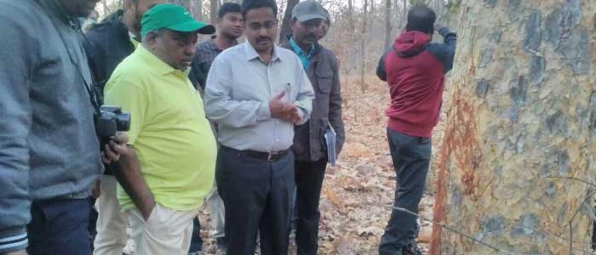 Enumeration of animals kick-starts in Telangana forests