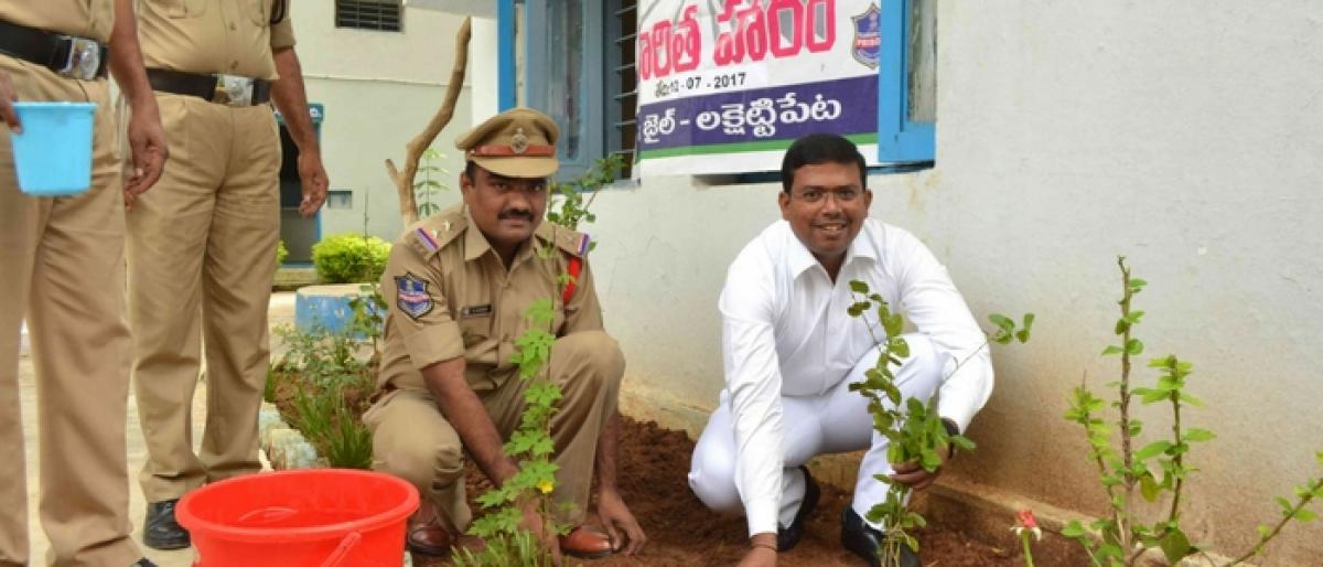 Judge takes part in Haritha Haram at Luxettipet Sub-Jail