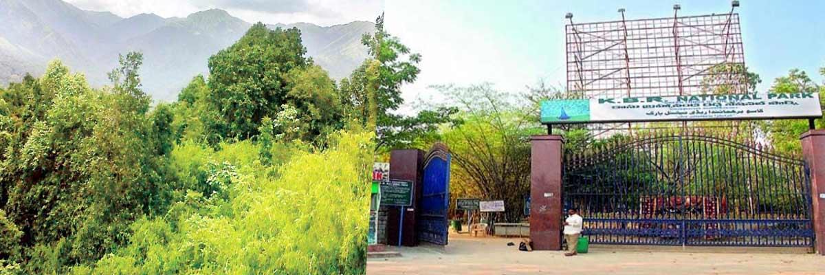 Telangana proposed a notification for Mrugavani National Park in Chilkur as a eco-sensitive zone