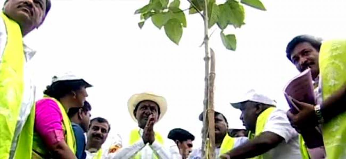 Fourth phase of Haritha Haram launched in Gajwel