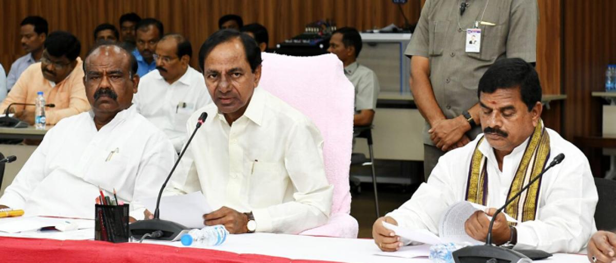 KCR set to turn Telangana green state with 100 crore sapling plantation target