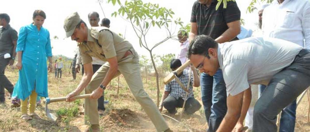 People told to protect planted saplings