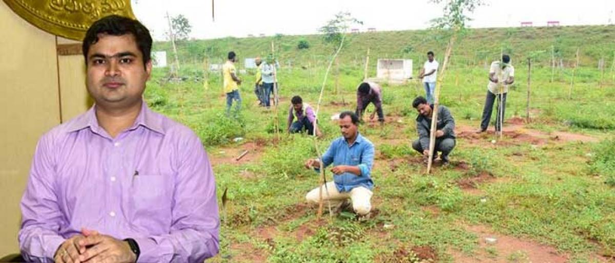 Steps taken to protect planted saplings: Karimnagar Collector