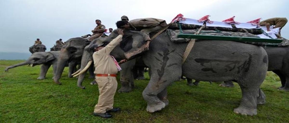 Assams Kaziranga National Park opens for tourists