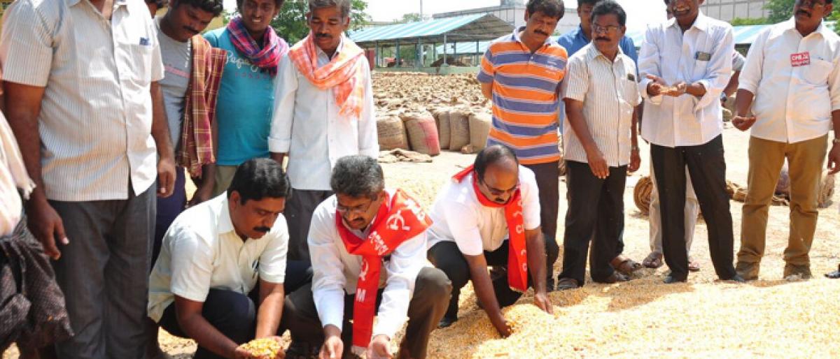 CPM leaders demands purchase of water-soaked corn in Khammam