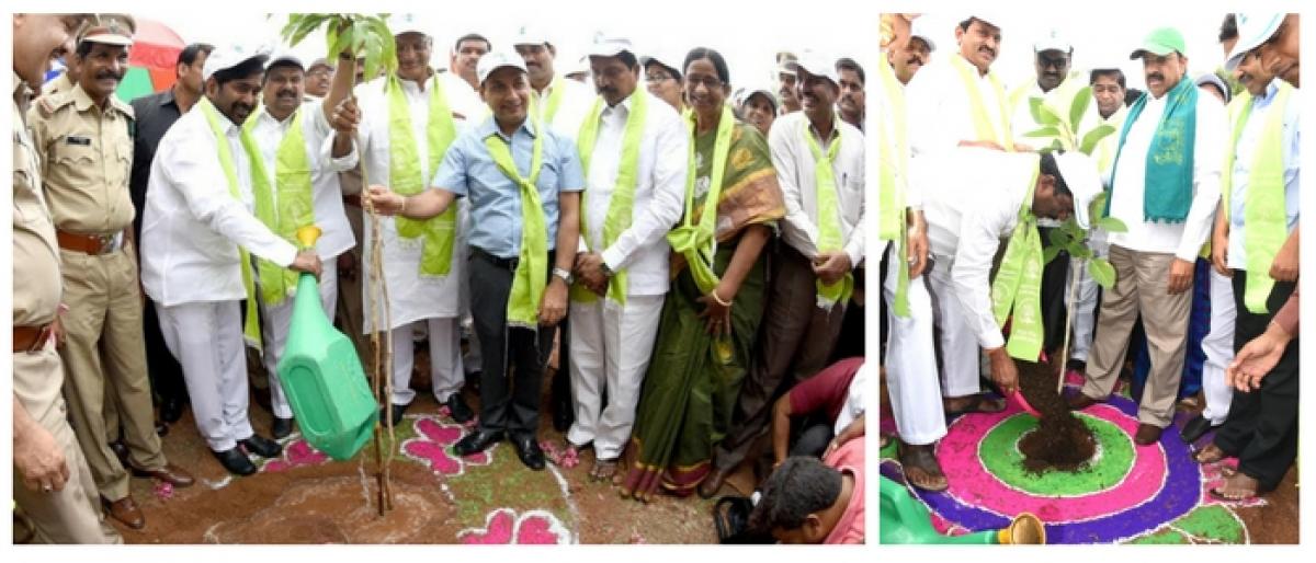 Green crusaders plant lakhs of saplings as HH flagged off in Telangana