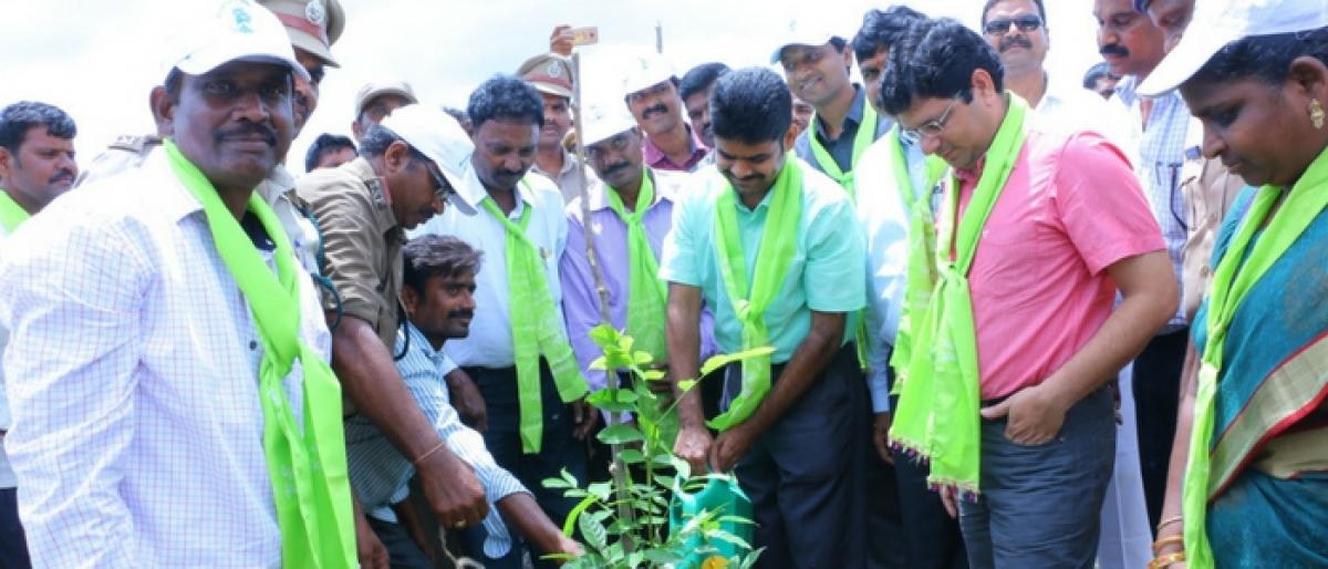 1.85 lakh saplings to be planted in Khammam soon