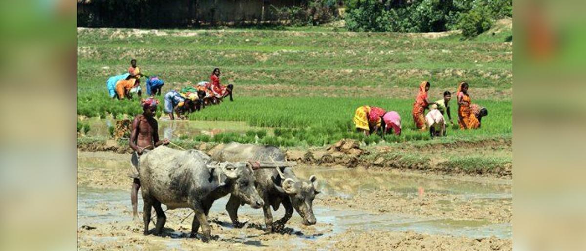 All set for khariff farming activity in West Godavari district