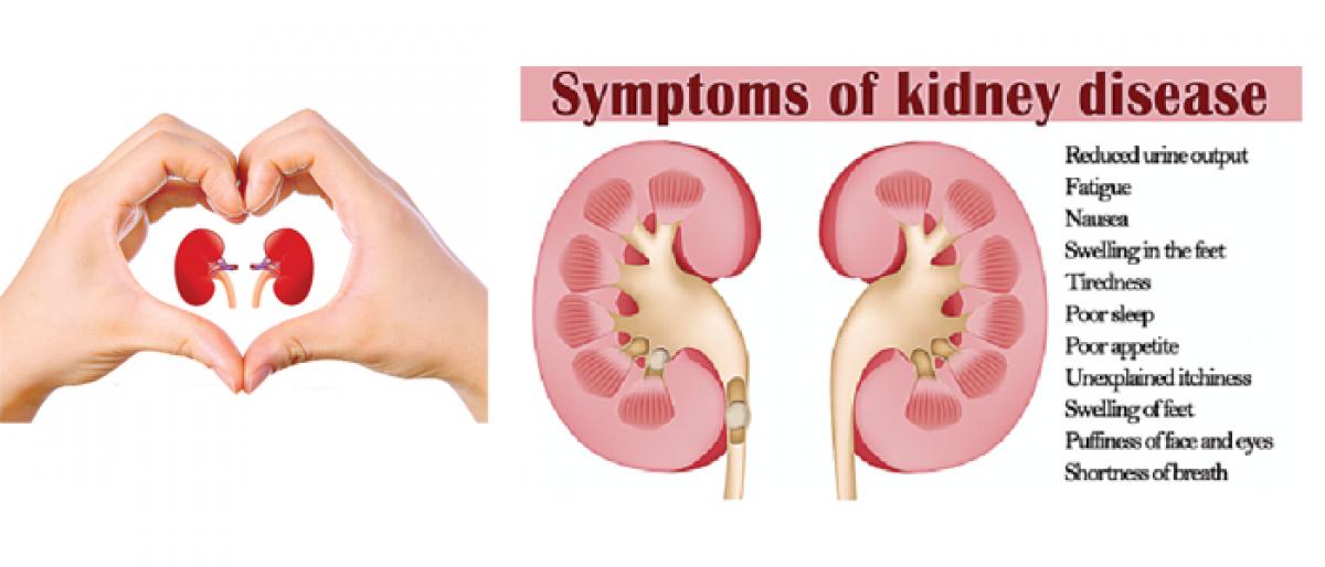 Burden of kidney disease in society