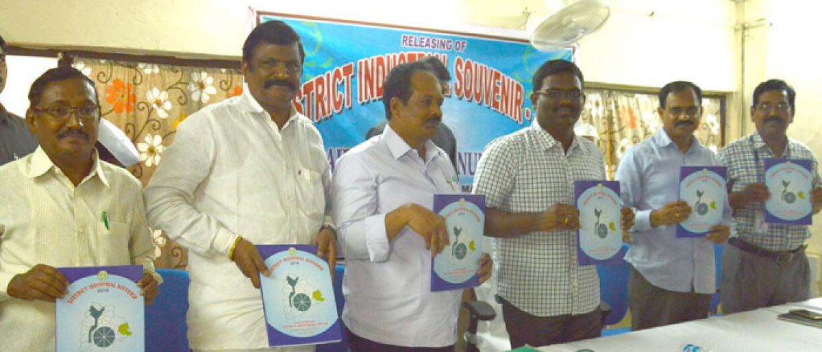 Govt will help new industrialists: Collector