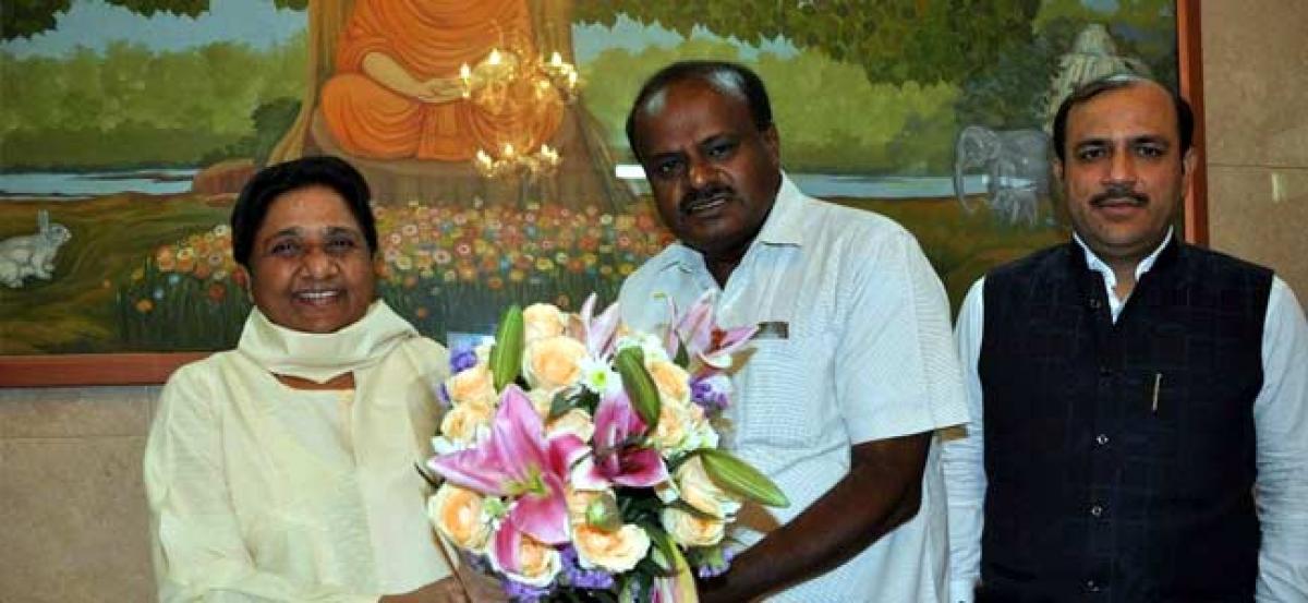 Kumaraswamy meets Mayawati, role of regional parties in 2019 polls discussed