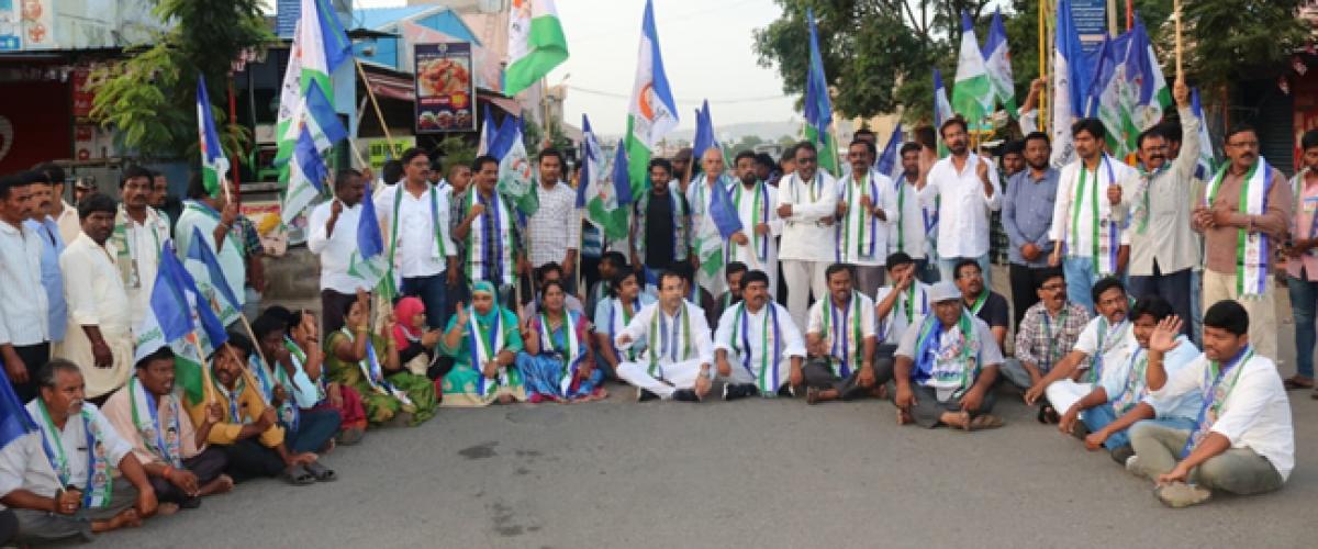 YSRCP bandh for Special Category Status total