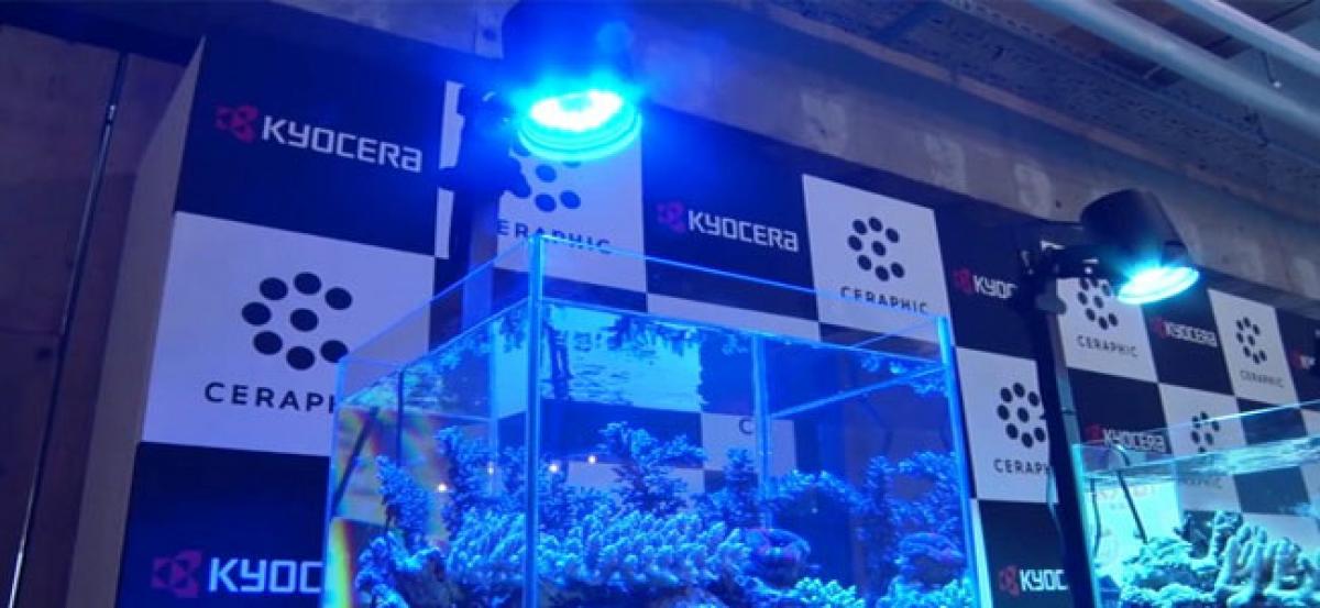 Kyocera develops full-spectrum LED lights to conserve energy