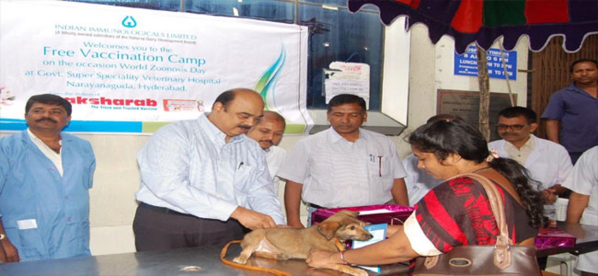 Dog hospital hot sale narayanguda