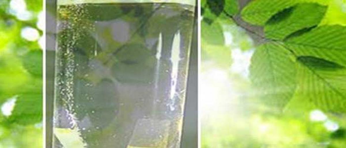 CSIRs artificial leaf creates fuel from sunlight, water