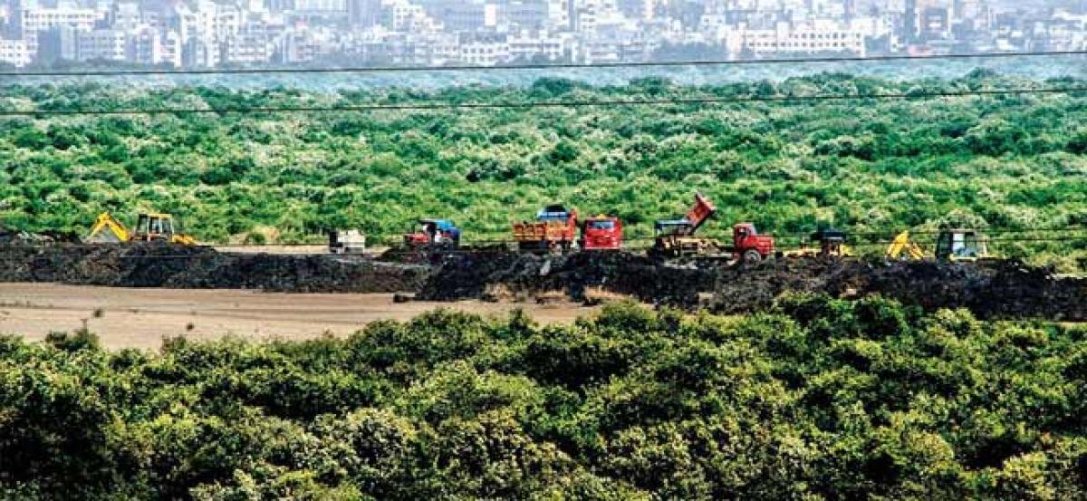 Politicians not above the law: Bombay HC directs police to book 2 corporators for encroaching on mangroves