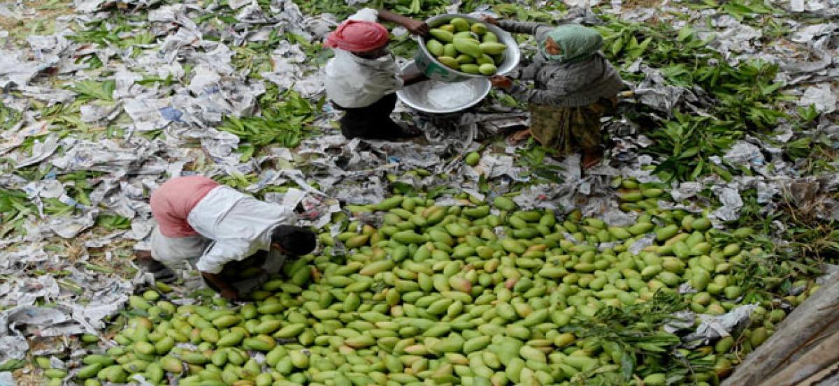 Karnataka mangoes ruling Hyderabad streets