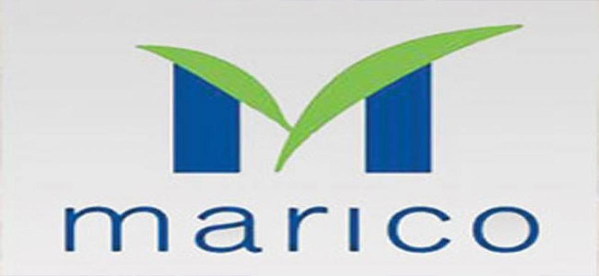 Marico Q3 net profit up 16% at Rs 223 crore