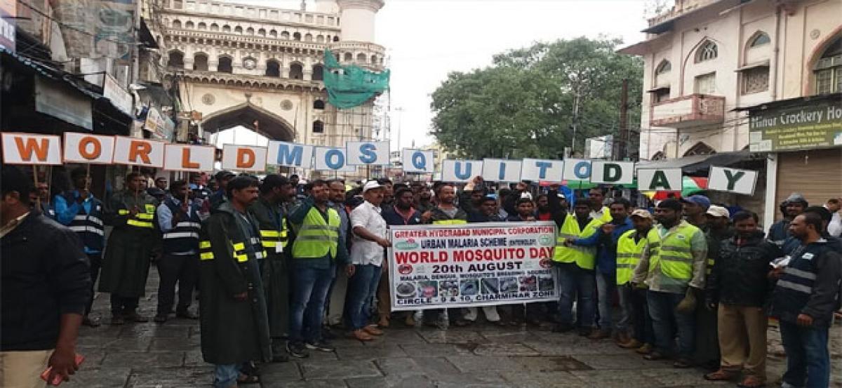 GHMC takes out rallies on ‘World Mosquito Day’ in Old City