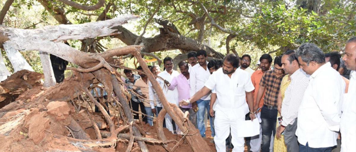 Mahbubnagar MLA called for United efforts of officials to restore Pillalamarri