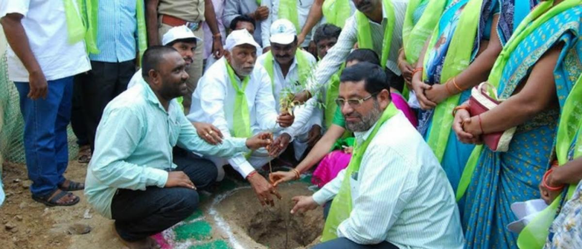 MLA Diwakar Rao plants sapling in Mancherial